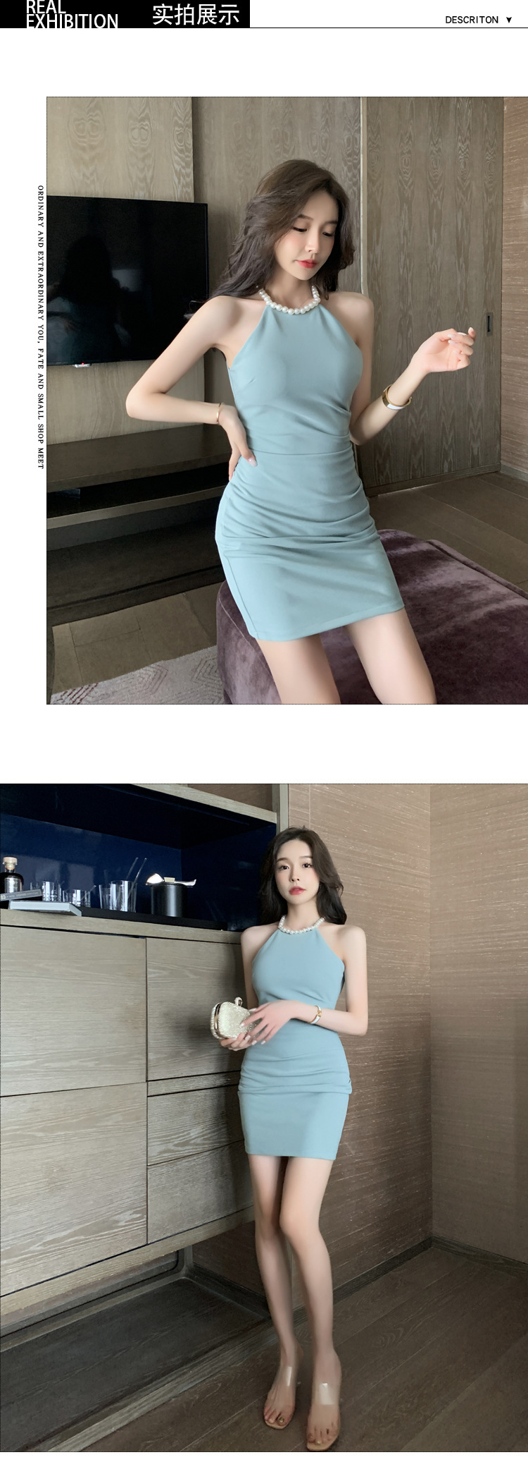 A585_3.jpg